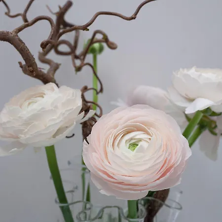 Гостевой дом Santa Margherita Венеция