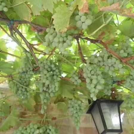 Гостевой дом Santa Margherita 3*